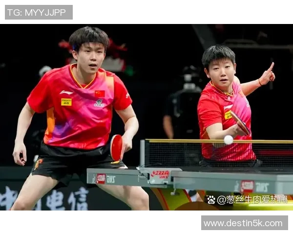 专业解读：成都乒乓球队的控制打法